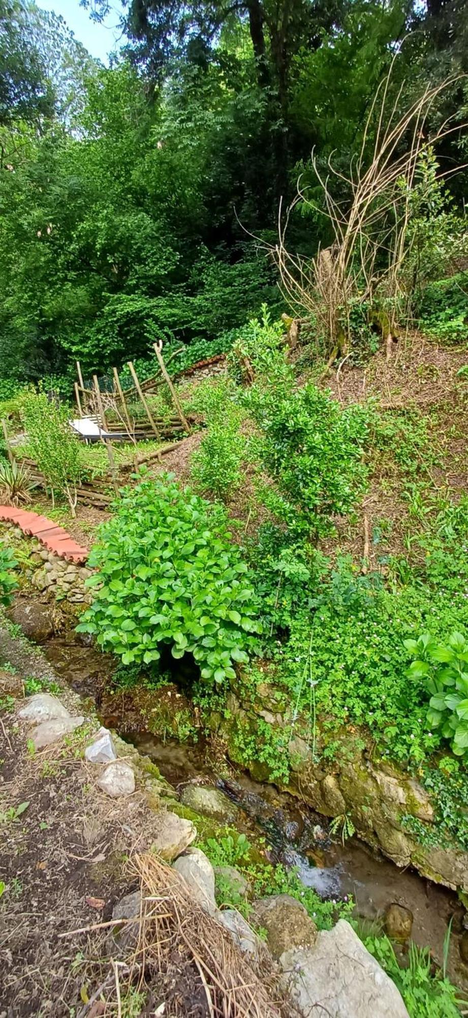 La Casetta Nel Verde Como Exterior photo